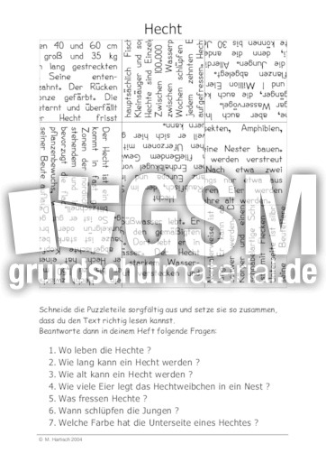 Hecht.pdf